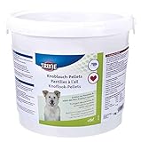 knoblauchsauce warm Kann bei regelmäßiger Anwendung Altersbeschwerden vorbeugen und die Blutreinigung fördern