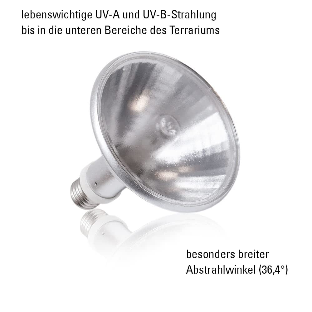 HID - Lámpara UV para terrarios (70 W/inundación)