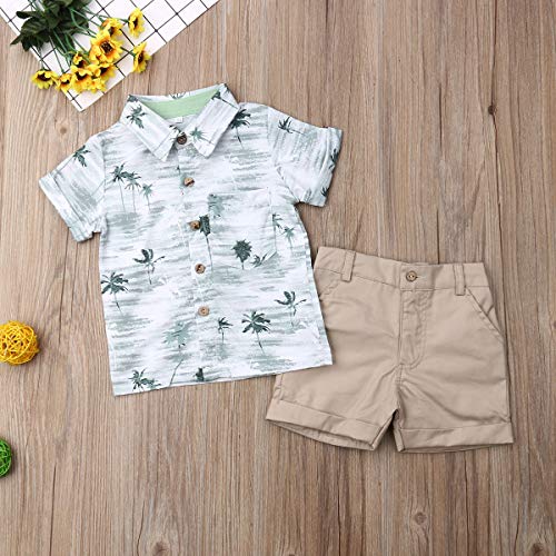 Image of CIYCUIT Toddler Baby Boys Shorts Set Short Sleeve Button Down Shirt + Shorts Pants 2 Pieces Summer Print Clothes Outfits