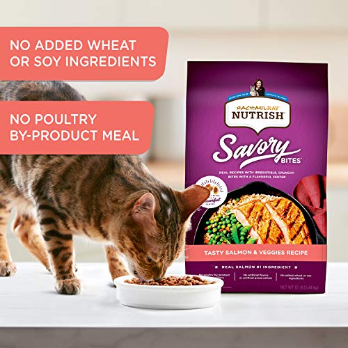 Rachael-Ray-Nutrish-Savory-Bites-Dry-Cat-Food-Tasty-Salmon-Veggies-Recipe-5-Pound-Bag