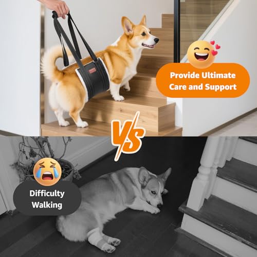 Image of LOOBANI Portable Dog Sling for Back Legs, Hip Support Harness to Help Lift Dogs Rear for Canine Aid and Old K9 Cruciate Ligament Rehabilitation