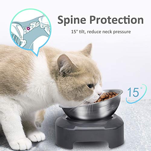 Ayada Raised Cat Food Bowl, Stainless Steel Cat Dish For Food Water Anti Vomiting Elevated With Stand Ergonomic Lifted Slanted Tilted 15 Angle Metal Single Kitty Kitten Wet Food Bowl Pet Bowl thumb #2