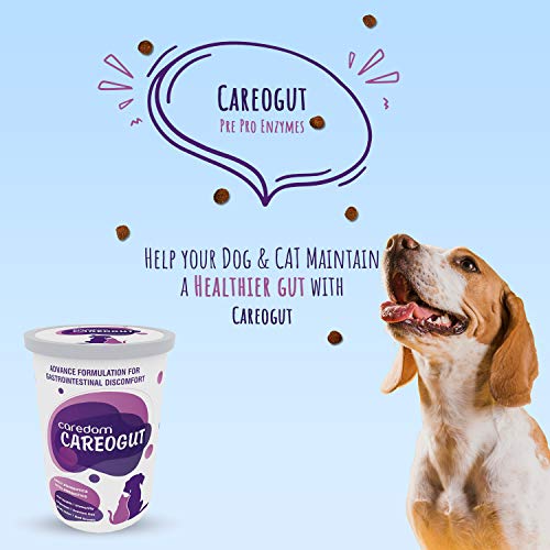 Caredom-CAREOGUT-Super-Premium-PROBIOTICS-and-PREBIOTICS-Blend-with-Enzymes-Promotes-Better-Digestion-Boost-Immunity-Gut-Health-for-Dogs-Cats-100-grm