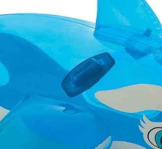 INTEX Inflatable Pool Float: Pool Toy for Kids