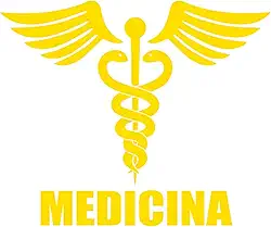 Adesivo Profissão Medicina para Estudantes e Médicos Ideal para notebook carro portas vidros Paredes vários tamanhos (AMARELO, 12X10cm)