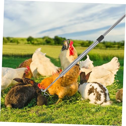 Filet pour volaille pour attraper facilement vos animaux dehors - 5
