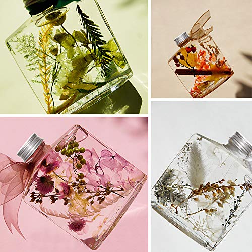 image for Purple 51pcs Real Dried Pressed Flowers Leaves Petals,Josisi Colorful 