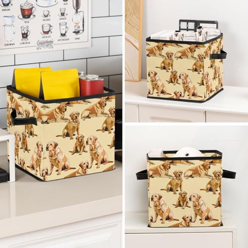 Boîte de rangement labrador 28cm cube pliable en tissu Oxford - 8