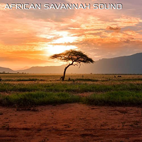 Discovery Africa Soundscapes