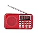 Produktbild Hakeeta FM Radio unterstützt USB/TF/AUX/Sprachaufzeichnung / MP3-Player/PW Cut Speicher, UKW Radio mit Rauschunterdrückung(Rot)