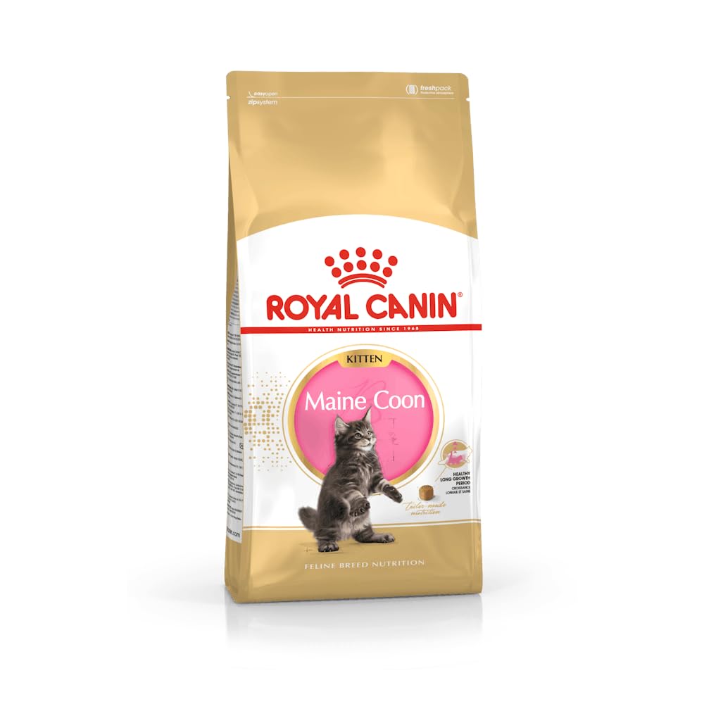 Royal Canin Maine Coon Kitten | Confezione Tripla | 3 x 400 g | Cibo secco per gatti | Specifico per cuccioli di gatto Maine Coon | Per favorire la digestione e il sistema immunitario