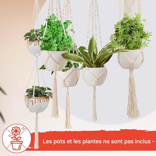 Support pour pots de fleurs suspendu pour succulentes | Décoration plafond et salon - 3