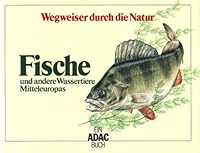 ADAC Wegweiser durch die Natur. Fische und andere Wassertiere Mitteleuropas 3870033142 Book Cover