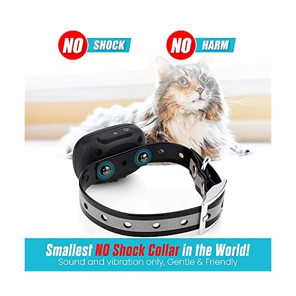 Vibrating Cat Collar NO Shock Cat Training Collar with Remote