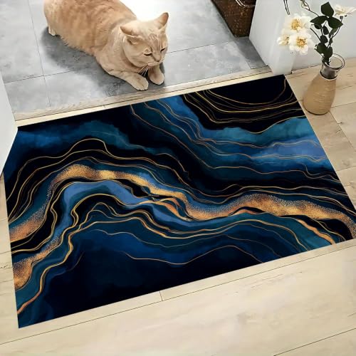 Tapis de Porte Antidérapant et Lavable Grand Format avec Profil Bas - 3