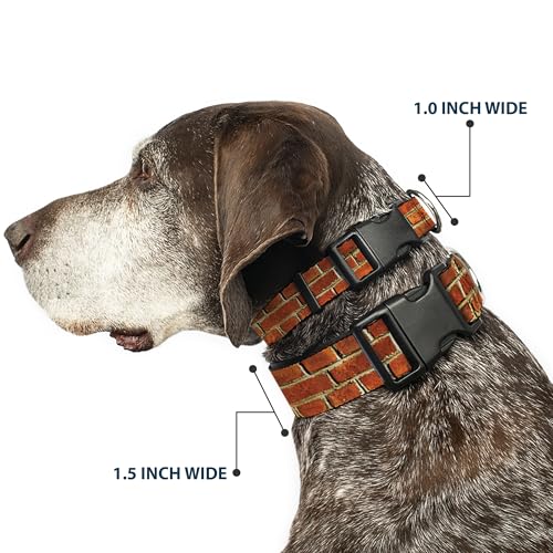 Collar para perro Buckle-Down, broche plástico, 28 a 42 cm miniatura 2