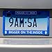 Doctor Who License Plate Frame - Bigger on The Inside Tardis Design, 6.25