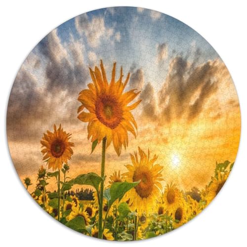 Puzzle redondo de 1000 piezas en papel premium con diseño de atardecer y girasoles