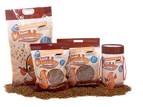 Chubby Mealworms Bulk Dried Mealworms For Wild Birds, Chickens Etc. (2Lbs) #TOP7