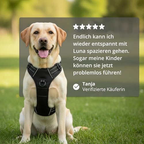 Fellstern Anti-Zieh-Geschirr, Anti-Zieh Hundegeschirr mit Step-in Design – Atmungsaktiv & Gepolstert – Für entspanntes Spazierengehen – Kontrolle ohne Ziehen – Für Hunde jeder Größe