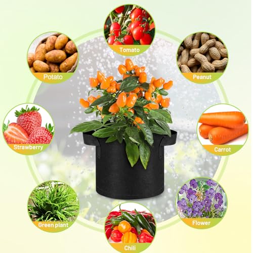 Image of Nuanchu 200 Packs 1 Gallon Grow Bags Bulk Aeration Fabric Pot with Handles