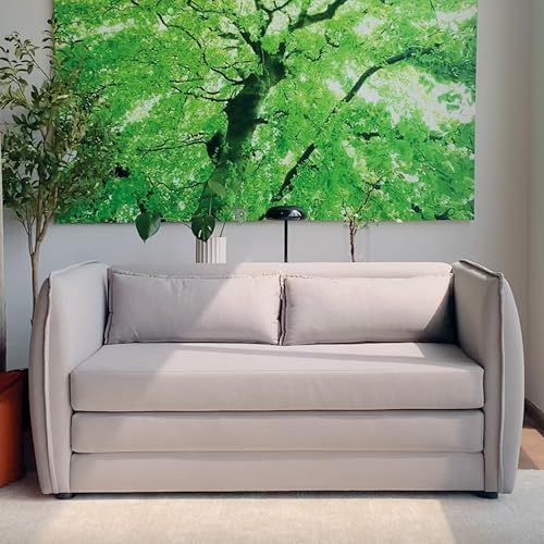 Recopilación y reviews de Sofás cama para visitas Top cinco. 2 Imagen adicional