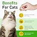 Hairball Treatment for Cats, Hairball Remedy Treats Chews, Cat Furball Treatment, Prevent Hairballs for Indoor Cats, Supports Skin & Coat, Vitamins for Digestion, Chicken Flavor (60 Day Supply)