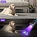 DARKDAWN UV Flashlight 395nm Black Light Mini USB Rechargeable Ultraviolet LED Blacklight Woods Lamp Powerful Fluorescent Portable Detector for Pet Urine Stains, Scorpions, Resin Curing