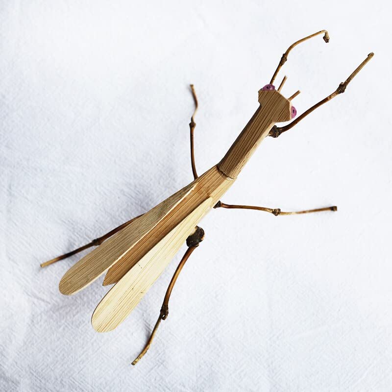 Amazon.de: HONGE Handgefertigtes Bambus-Bambus-Insekten-Mantis-Kfer,  Retro-Basteldekoration, kleine Tiere, Schreibtisch-Ornamente
