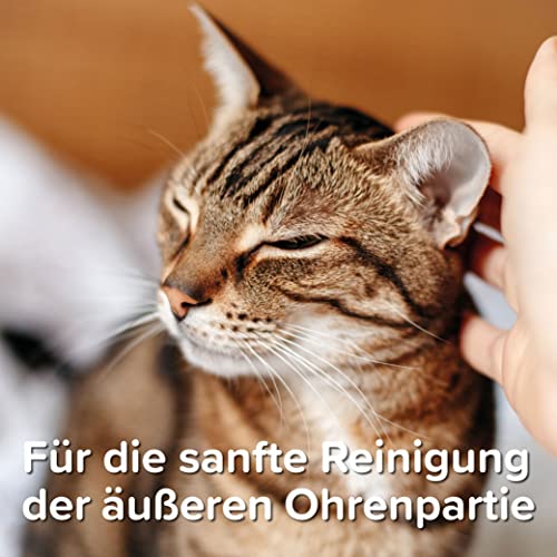 BEAPHAR - Sensitiv Ohrenreiniger - Für Hunde Und Katzen - Mit MSM (MethylSulfonylMethan) - Besonders Mild Und Reizarm - Zur Sanften Pflege Der Äußeren Ohrenpartie - 0% Alkohol - 50 ml