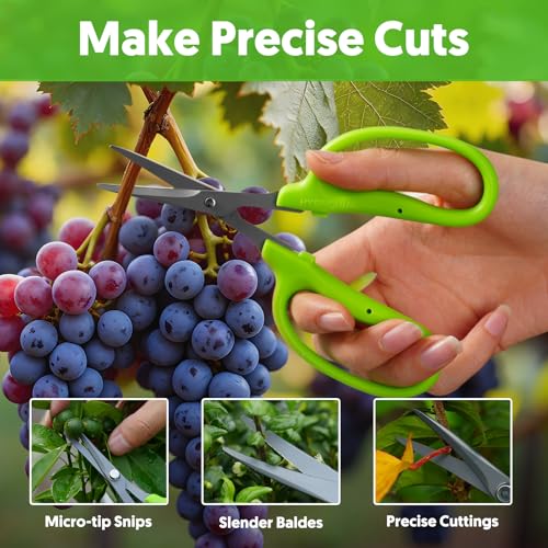Image of Garden Scissors Small Pruning Shears Gardening Snips Non-Stick Coating Sharp Steel Blade for Precise Cutters Bonsai Trimmer for Plants Flower Herb