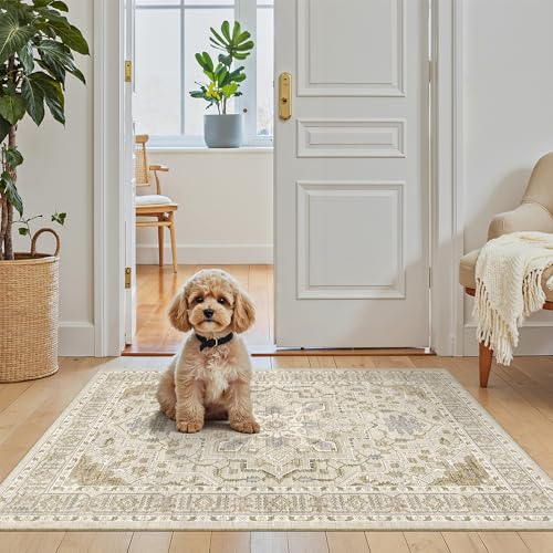 Madane Washable Area Rug 2x3 Small Entryway Rugs Non-Slip, Beige/Blue