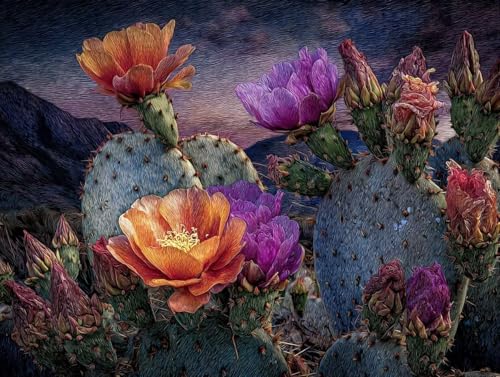 DIY  Lbg l q SҌ G ԃT{e ANG̋Zbgt 80x100cm hG XgX  v[g Mtg - |pIȑ̌ŊyށAiȃLoXƑN₩ȐFʁAW̓AbvAbNXʁAC