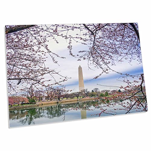 3dRose George Washington Memorial - Desk Pad miniatura 1