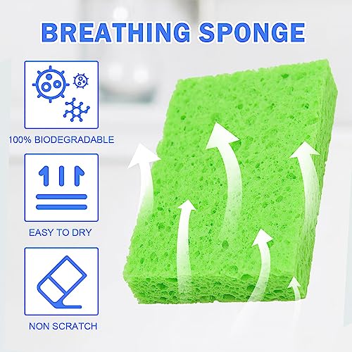 Image of YoleShy 48 Pack Sponges Kitchen Natural Compressed Cellulose Sponges Durable Dish Sponge for Cleaning & DIY Reusable