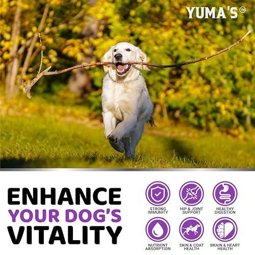 Dog-Multivitamin-Chewable-with-Glucosamine-Dog-Vitamins-and-Supplements-170-Treats-Senior-Puppy-Multivitamin-for-Dogs-Hip-Joint-Support-Immune-Health-Skin-Heart-Digestion-Probiotics Dog Multivitamin Chewable with Glucosamine Dog Vitamins and Supplements 170 Treats Senior Puppy Multivitamin for Dogs Hip Joint Support Immune Health Skin Heart Digestion Probiotics