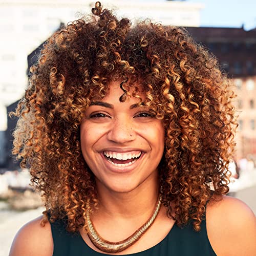 Rolisy Afro Kinky Curly Wig for Black Women Synthetic Curly Wig with Bangs Ombre Brown Premium Heat Resistant Fiber Wigs for African American Perfect for Daily Use Party Office(14inch, Ombre Brown)