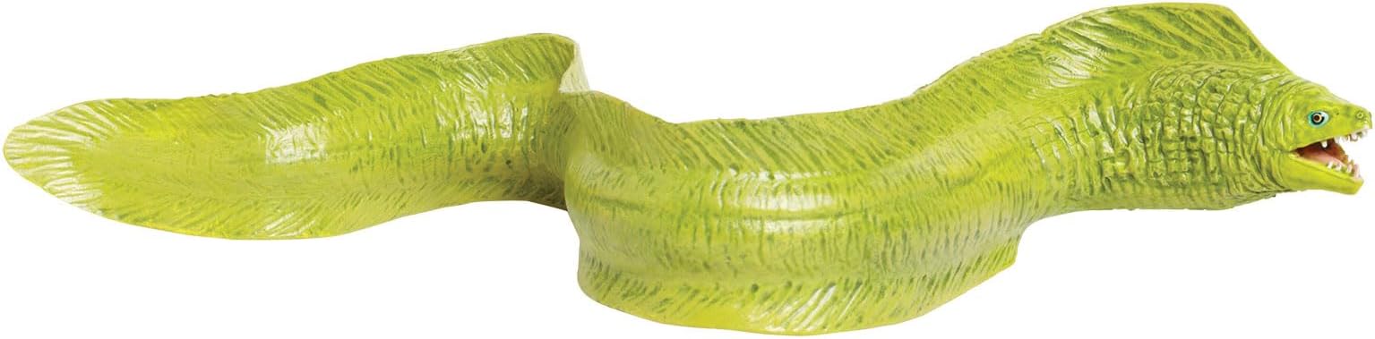 Toob Moray Eel