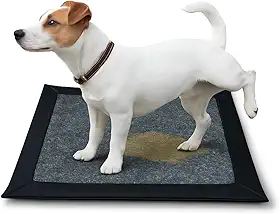 PetsLab - Tapete Higiênico Lavável Petslab Tamanho 60x50 Tamanho P (1)