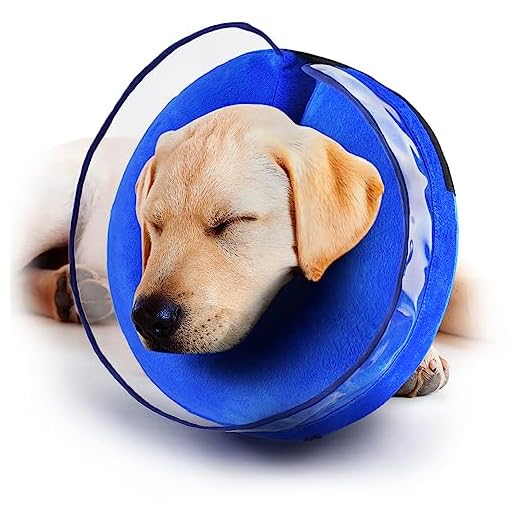 Zeaxuie Soft Inflatable Dog Cone Collar for Dogs After Surgery with Enhanced Anti-Licking for Unrestricted in Daily Life, Pack of One, Blue (Size 6)