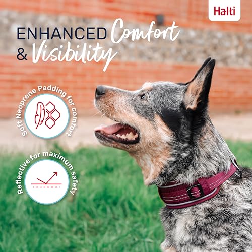 Image of Halti Anatomy Dog Collar | Size M, Magenta | Wide Design Collar for Pressure Relief | Padded, Reflective & Adjustable | Matching Leash & Harness | For Medium Dogs