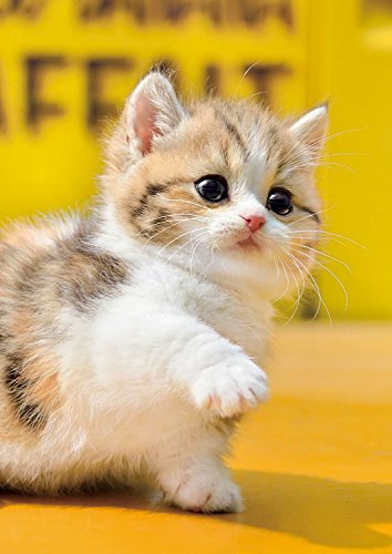 エポック社 108ピース ジグソーパズル いきもの/ペット ねこ お手! (18.2×25.7cm) 01-067 のり付き ヘラ付き 点数券付き EPOCH