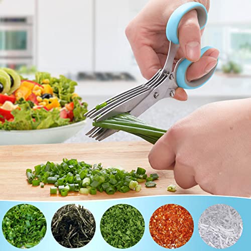 Tesoura de ervas com 5 lâminas de aço inoxidável multi e tampa de segurança Cortador de utensílios d