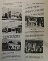 Windows on Wellsville, 1856-1984 B000BH3M0W Book Cover