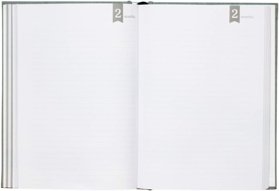 LovelySprouts - Letters To My Child Baby Journal - Pregnancy Journal and Baby Memory Book For the Baby's First Year - Modern Heirloom and Keepsake (Gray) : Baby