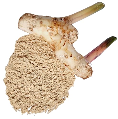 Galangal Powder, Made From 100% Alpinia galanga - Pure, Natural Greater Galangal, Lengkuas, and Blue Ginger - Net Weight: 1.76oz/50g