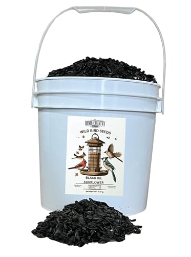 Home & Country USA Black Oil Sunflower Seed - 12 lbs Pail for Wild Bird Feeding