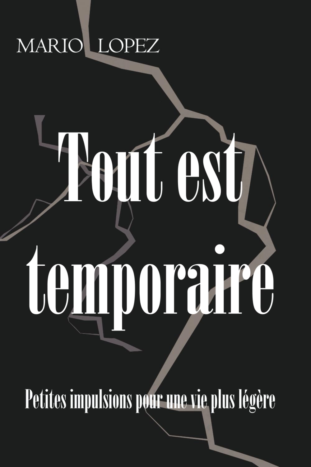 Tout est temporaire: Petites impulsions pour une vie plus légère.