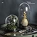 WHOLE HOUSEWARES | Decorative Clear Glass Dome | Cloche Glass Dome for DIY Snow Globes | Tabletop Centerpiece | Cloche Bell Jar Display Case | Black MDF Base, 5.9
