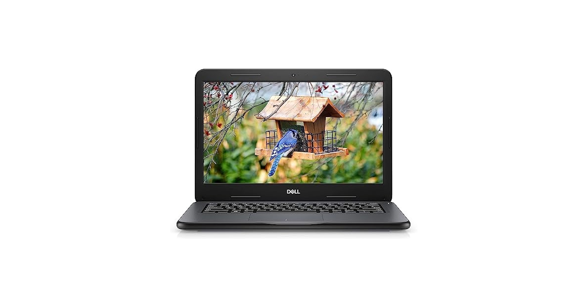 Amazon.com: Dell Latitude 3300 13